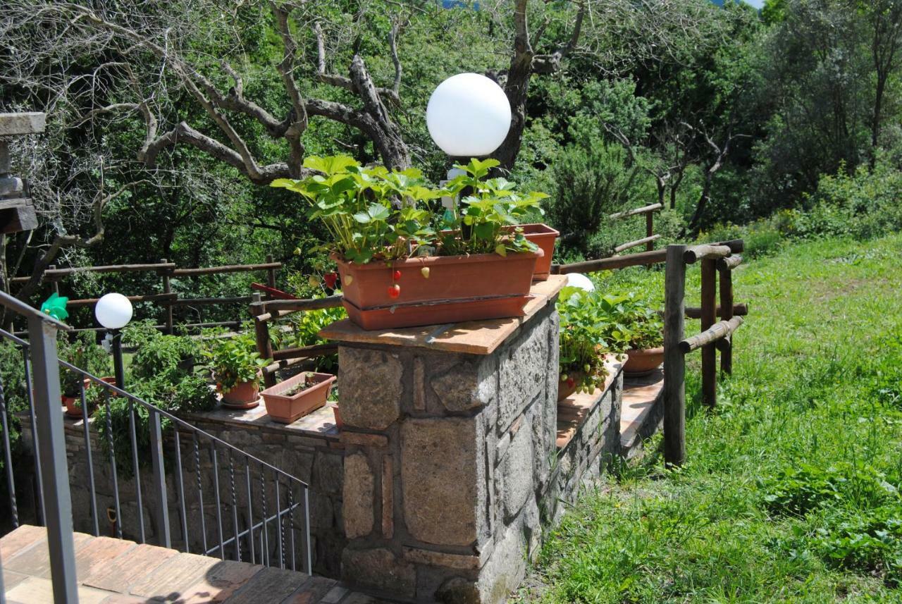 Villa Farfalla Bianca Виторкьяно Экстерьер фото